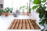 Vintage Turkish rug in a living room setting, pile rug, Turkish rug, vintage rug, portland, rug shop, bright colors, wild shaman, soft rug, bold color, Portland, Oregon, rug store, rug shop, local shop