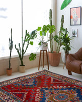 Vintage Turkish rug in a living room setting, pile rug, Turkish rug, vintage rug, portland, rug shop, bright colors, wild shaman, soft rug, bold color, Portland, Oregon, rug store, rug shop, local shop, antique rug