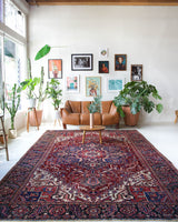 Antique Persian area rug in a living room setting, pile rug, vintage rug, portland, rug shop, bright colors, wild shaman, soft rug, bold color, Portland, Oregon, rug store, rug shop, local shop, antique rug, Persian rug, handmade rug, wool rug, distressed rug