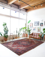 Antique Persian area rug in a living room setting, pile rug, vintage rug, portland, rug shop, bright colors, wild shaman, soft rug, bold color, Portland, Oregon, rug store, rug shop, local shop, antique rug, Persian rug, handmade rug, wool rug, distressed rug