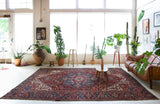 Antique Persian area rug in a living room setting, pile rug, vintage rug, portland, rug shop, bright colors, wild shaman, soft rug, bold color, Portland, Oregon, rug store, rug shop, local shop, antique rug, Persian rug, handmade rug, wool rug, distressed rug