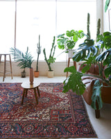 Antique Persian area rug in a living room setting, pile rug, vintage rug, portland, rug shop, bright colors, wild shaman, soft rug, bold color, Portland, Oregon, rug store, rug shop, local shop, antique rug, Persian rug, handmade rug, wool rug, distressed rug