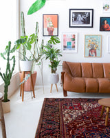 Antique Persian area rug in a living room setting, pile rug, vintage rug, portland, rug shop, bright colors, wild shaman, soft rug, bold color, Portland, Oregon, rug store, rug shop, local shop, antique rug, Persian rug, handmade rug, wool rug, distressed rug