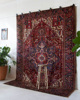 Antique Persian area rug in a living room setting, pile rug, vintage rug, portland, rug shop, bright colors, wild shaman, soft rug, bold color, Portland, Oregon, rug store, rug shop, local shop, antique rug, Persian rug, handmade rug, wool rug, distressed rug