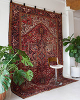 Antique Persian area rug in a living room setting, pile rug, vintage rug, portland, rug shop, bright colors, wild shaman, soft rug, bold color, Portland, Oregon, rug store, rug shop, local shop, antique rug, Persian rug, handmade rug, wool rug, distressed rug