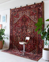 Antique Persian area rug in a living room setting, pile rug, vintage rug, portland, rug shop, bright colors, wild shaman, soft rug, bold color, Portland, Oregon, rug store, rug shop, local shop, antique rug, Persian rug, handmade rug, wool rug, distressed rug