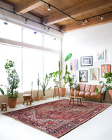 Antique Persian area rug in a living room setting, pile rug, vintage rug, portland, rug shop, bright colors, wild shaman, soft rug, bold color, Portland, Oregon, rug store, rug shop, local shop, antique rug, Persian rug, handmade rug, wool rug, distressed rug