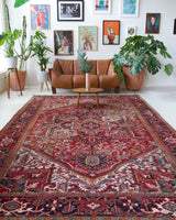Antique Persian area rug in a living room setting, pile rug, vintage rug, portland, rug shop, bright colors, wild shaman, soft rug, bold color, Portland, Oregon, rug store, rug shop, local shop, antique rug, Persian rug, handmade rug, wool rug, distressed rug