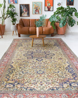 Area rug in a living room setting, pile rug, Turkish rug, old rug, antique rug, pastel colors, faded colors, Turkish rug, vintage rug, soft rug, Portland, Oregon, rug store, rug shop, local shop