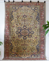 Area rug in a living room setting, pile rug, Turkish rug, old rug, antique rug, pastel colors, faded colors, Turkish rug, vintage rug, soft rug, Portland, Oregon, rug store, rug shop, local shop