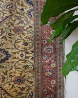 Area rug in a living room setting, pile rug, Turkish rug, old rug, antique rug, pastel colors, faded colors, Turkish rug, vintage rug, soft rug, Portland, Oregon, rug store, rug shop, local shop