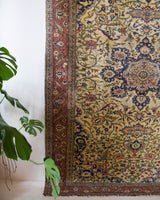 Area rug in a living room setting, pile rug, Turkish rug, old rug, antique rug, pastel colors, faded colors, Turkish rug, vintage rug, soft rug, Portland, Oregon, rug store, rug shop, local shop