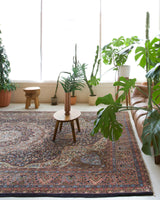 Vintage Turkish rug in a living room setting, pile rug, Turkish rug, vintage rug, portland, rug shop, bright colors, wild shaman, soft rug, bold color, Portland, Oregon, rug store, rug shop, local shop