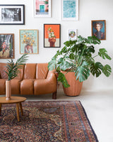 Vintage Turkish rug in a living room setting, pile rug, Turkish rug, vintage rug, portland, rug shop, bright colors, wild shaman, soft rug, bold color, Portland, Oregon, rug store, rug shop, local shop