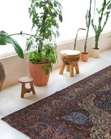 Vintage Turkish rug in a living room setting, pile rug, Turkish rug, vintage rug, portland, rug shop, bright colors, wild shaman, soft rug, bold color, Portland, Oregon, rug store, rug shop, local shop