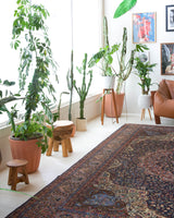 Vintage Turkish rug in a living room setting, pile rug, Turkish rug, vintage rug, portland, rug shop, bright colors, wild shaman, soft rug, bold color, Portland, Oregon, rug store, rug shop, local shop