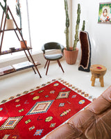 Area rug in a living room setting, pile rug, Turkish rug, custom rug, , new rug, modern rug, customizable rug, made to order rug, portland, rug shop, bright colors, wild shaman, soft rug, bold color, Portland, Oregon, rug store, rug shop, local shop, made in Turkey
