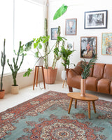 Area rug in a living room setting, pile rug, Turkish rug, old rug, antique rug, pastel colors, faded colors, Turkish rug, vintage rug, soft rug, Portland, Oregon, rug store, rug shop, local shop