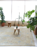 Vintage Turkish rug in living room setting, old rug, antique rug, pastel colors, faded colors, Turkish rug, vintage rug, soft rug, Portland, Oregon, rug store, rug shop, local shop