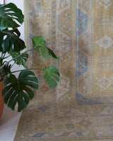 Vintage Turkish rug in living room setting, old rug, antique rug, pastel colors, faded colors, Turkish rug, vintage rug, soft rug, Portland, Oregon, rug store, rug shop, local shop