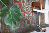 Vintage Turkish rug in living room setting, old rug, antique rug, pastel colors, faded colors, Turkish rug, vintage rug, soft rug, Portland, Oregon, rug store, rug shop, local shop