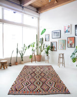 Vintage Turkish rug in a living room setting, pile rug, Turkish rug, vintage rug, portland, rug shop, bright colors, wild shaman, soft rug, bold color, Portland, Oregon, rug store, rug shop, local shop, antique rug