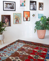 Area rug in a living room setting, pile rug, Turkish rug, custom rug, , new rug, modern rug, customizable rug, made to order rug, portland, rug shop, bright colors, wild shaman, soft rug, bold color, Portland, Oregon, rug store, rug shop, local shop, made in Turkey