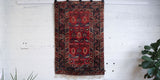 pile rug, Turkish rug, vintage rug, portland, rug shop, bright colors, wild shaman, soft rug, bold color, Portland, Oregon, rug store, rug shop, local shop