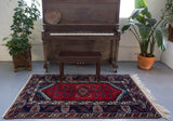 pile rug, Turkish rug, vintage rug, portland, rug shop, bright colors, wild shaman, soft rug, bold color, Portland, Oregon, rug store, rug shop, local shop