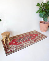 Vintage Turkish runner rug in living room setting, old rug, antique rug, pastel colors, faded colors, Turkish rug, vintage rug, soft rug, Portland, Oregon, rug store, rug shop, local shop