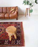 Vintage Turkish rug in a living room setting, pile rug, Turkish rug, vintage rug, portland, rug shop, bright colors, wild shaman, soft rug, bold color, Portland, Oregon, rug store, rug shop, local shop, antique rug