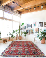 Vintage Turkish rug in a living room setting, pile rug, Turkish rug, vintage rug, portland, rug shop, bright colors, wild shaman, soft rug, bold color, Portland, Oregon, rug store, rug shop, local shop, antique rug