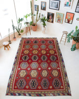 Vintage Turkish rug in a living room setting, pile rug, Turkish rug, vintage rug, portland, rug shop, bright colors, wild shaman, soft rug, bold color, Portland, Oregon, rug store, rug shop, local shop, antique rug