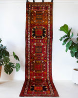 Vintage Turkish runner rug in a living room setting, pile rug, Turkish rug, vintage rug, portland, rug shop, bright colors, wild shaman, soft rug, bold color, Portland, Oregon, rug store, rug shop, local shop, antique rug