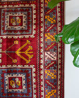 Vintage Turkish rug in a living room setting, pile rug, Turkish rug, vintage rug, portland, rug shop, bright colors, wild shaman, soft rug, bold color, Portland, Oregon, rug store, rug shop, local shop