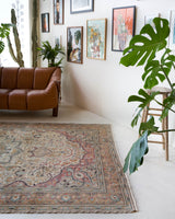 Vintage Turkish rug in living room setting, old rug, antique rug, pastel colors, faded colors, Turkish rug, vintage rug, soft rug, Portland, Oregon, rug store, rug shop, local shop