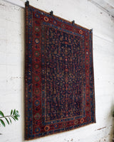 pile rug, Turkish rug, vintage rug, portland, rug shop, bright colors, wild shaman, soft rug, bold color, Portland, Oregon, rug store, rug shop, local shop