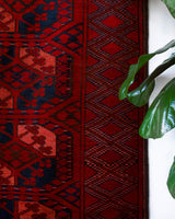 Antique Turkmen rug in a living room setting, pile rug, Turkish rug, vintage rug, portland, rug shop, bright colors, wild shaman, soft rug, bold color, Portland, Oregon, rug store, rug shop, local shop, antique rug