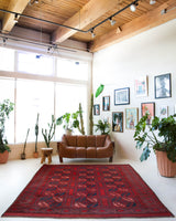 Antique Turkmen rug in a living room setting, pile rug, Turkish rug, vintage rug, portland, rug shop, bright colors, wild shaman, soft rug, bold color, Portland, Oregon, rug store, rug shop, local shop, antique rug