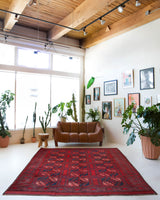 Antique Turkmen rug in a living room setting, pile rug, Turkish rug, vintage rug, portland, rug shop, bright colors, wild shaman, soft rug, bold color, Portland, Oregon, rug store, rug shop, local shop, antique rug