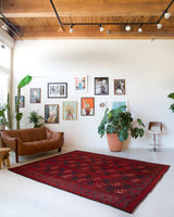 Antique Turkmen rug in a living room setting, pile rug, Turkish rug, vintage rug, portland, rug shop, bright colors, wild shaman, soft rug, bold color, Portland, Oregon, rug store, rug shop, local shop, antique rug