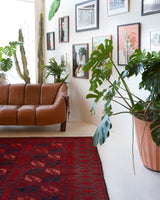 Antique Turkmen rug in a living room setting, pile rug, Turkish rug, vintage rug, portland, rug shop, bright colors, wild shaman, soft rug, bold color, Portland, Oregon, rug store, rug shop, local shop, antique rug