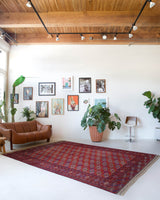 Antique Turkmen rug in a living room setting, pile rug, Turkish rug, vintage rug, portland, rug shop, bright colors, wild shaman, soft rug, bold color, Portland, Oregon, rug store, rug shop, local shop, antique rug