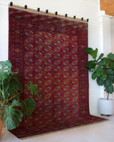 Antique Turkmen rug in a living room setting, pile rug, Turkish rug, vintage rug, portland, rug shop, bright colors, wild shaman, soft rug, bold color, Portland, Oregon, rug store, rug shop, local shop, antique rug
