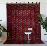 Antique Turkmen rug in a living room setting, pile rug, Turkish rug, vintage rug, portland, rug shop, bright colors, wild shaman, soft rug, bold color, Portland, Oregon, rug store, rug shop, local shop, antique rug
