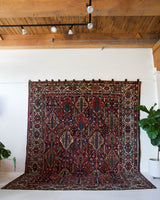 Antique Persian area rug in a living room setting, pile rug, vintage rug, portland, rug shop, bright colors, wild shaman, soft rug, bold color, Portland, Oregon, rug store, rug shop, local shop, antique rug, Persian rug, handmade rug, wool rug