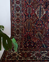 Antique Persian area rug in a living room setting, pile rug, vintage rug, portland, rug shop, bright colors, wild shaman, soft rug, bold color, Portland, Oregon, rug store, rug shop, local shop, antique rug, Persian rug, handmade rug, wool rug