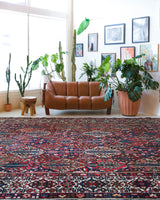 Antique Persian area rug in a living room setting, pile rug, vintage rug, portland, rug shop, bright colors, wild shaman, soft rug, bold color, Portland, Oregon, rug store, rug shop, local shop, antique rug, Persian rug, handmade rug, wool rug