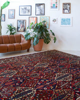 Antique Persian area rug in a living room setting, pile rug, vintage rug, portland, rug shop, bright colors, wild shaman, soft rug, bold color, Portland, Oregon, rug store, rug shop, local shop, antique rug, Persian rug, handmade rug, wool rug