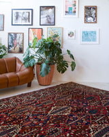 Antique Persian area rug in a living room setting, pile rug, vintage rug, portland, rug shop, bright colors, wild shaman, soft rug, bold color, Portland, Oregon, rug store, rug shop, local shop, antique rug, Persian rug, handmade rug, wool rug